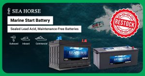 SeaHorse Maintenance-Free Battery